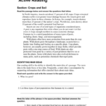 Active Reading Skills Worksheet Answer Key Dorothy Jame 39 s Reading