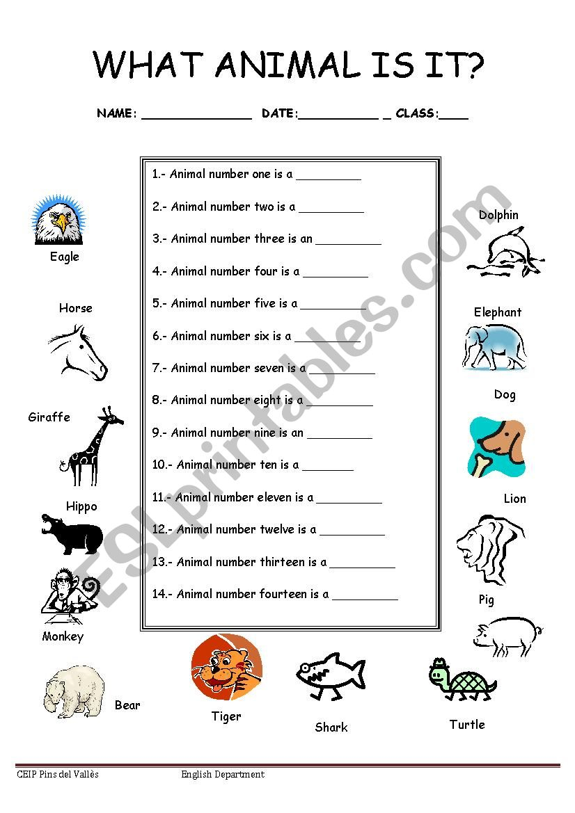 Animal Answers ESL Worksheet By Anthony6