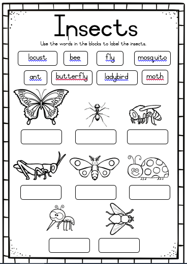 Caps Grade 3 Life Skills Worksheets SkillsWorksheets