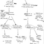 Cell Concept Map Worksheet Answers