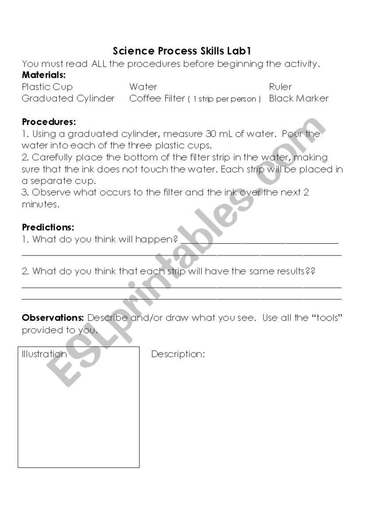 Process Skill Lab ESL Worksheet By Maqqad