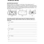 Science Skills Worksheet Answer Key