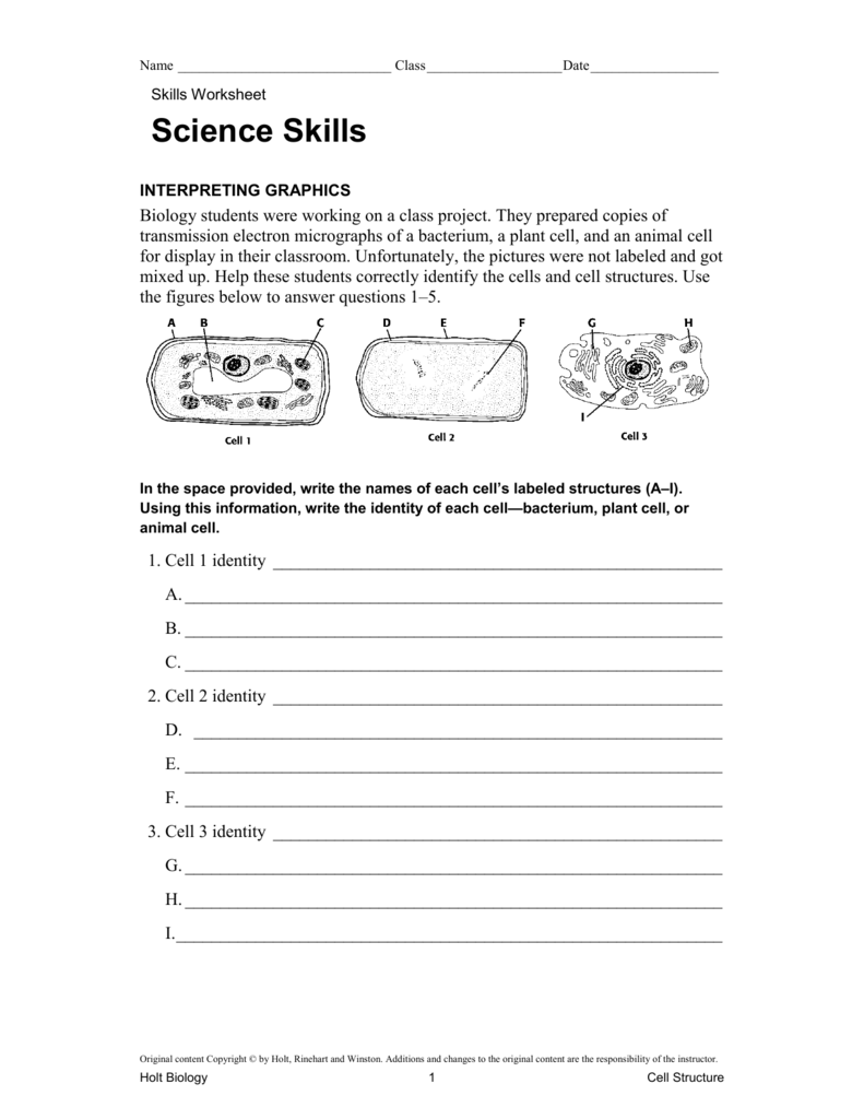 Science Skills Worksheet Answer Key