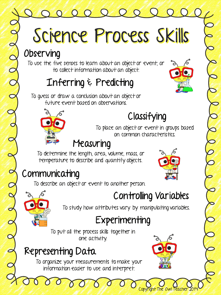 Scientific Process Skills Worksheets