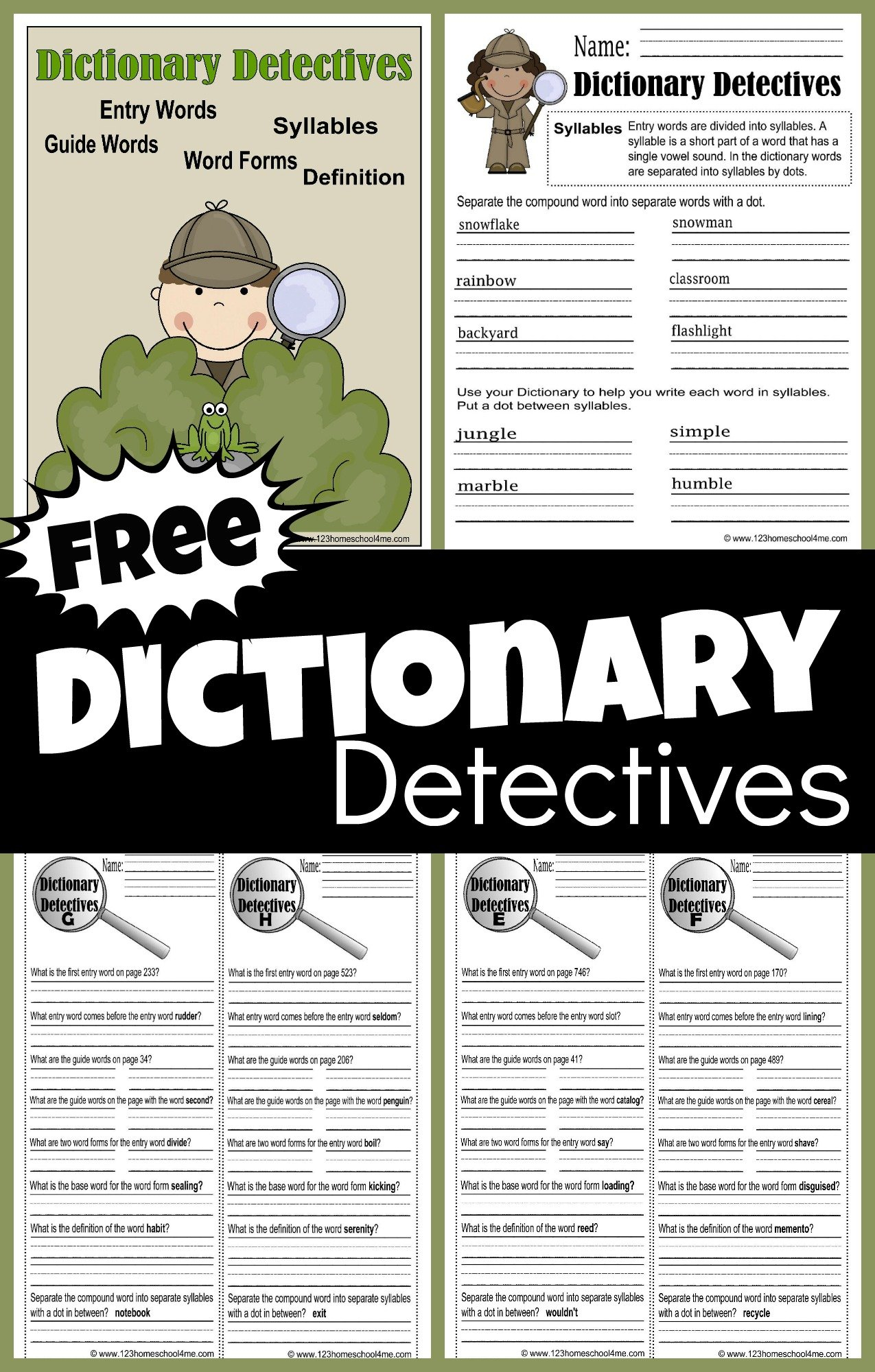 Using A Dictionary Worksheet
